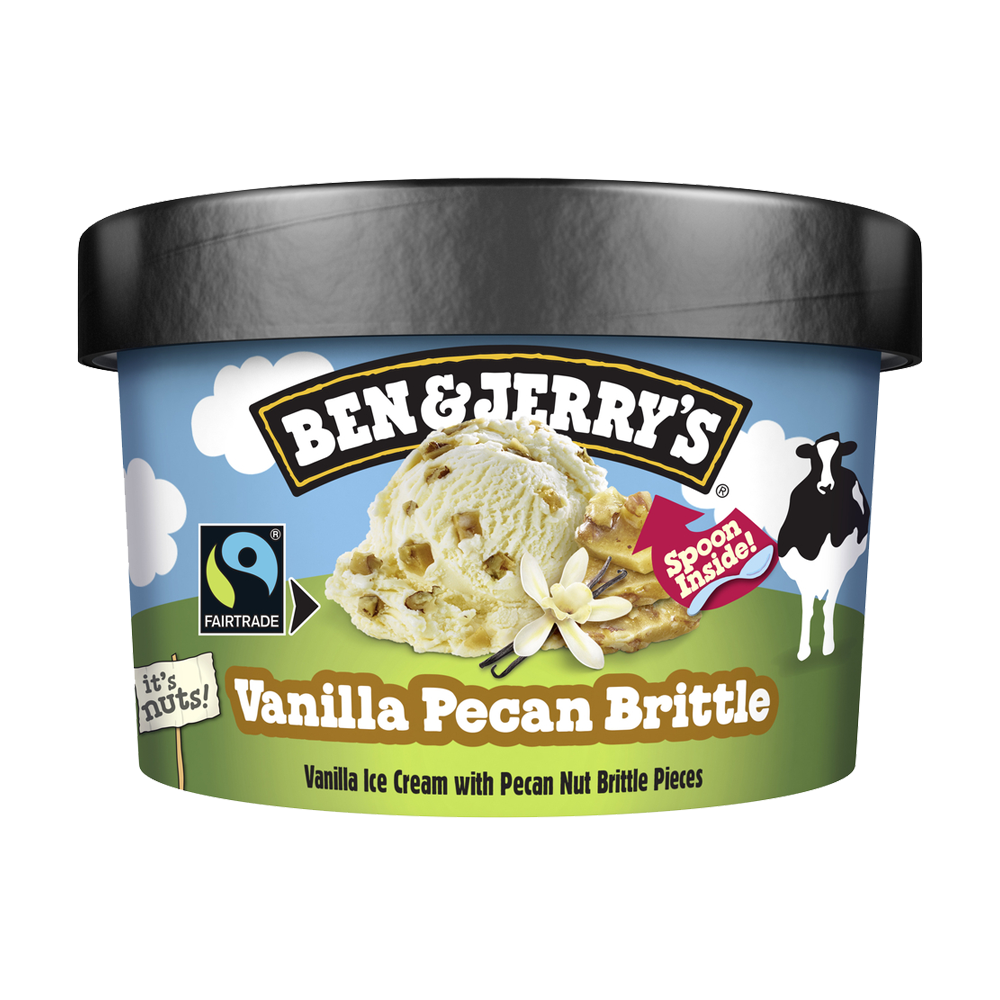 Ben & Jerry's Shorty Vanilla Pecan Brittle