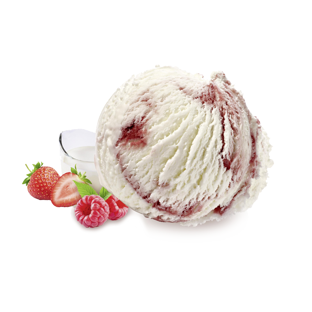 Carte D'Or Gelateria Joghurt-Waldfrucht