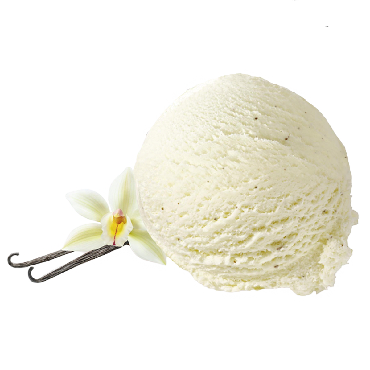 Carte D'Or Bourbon-Vanille