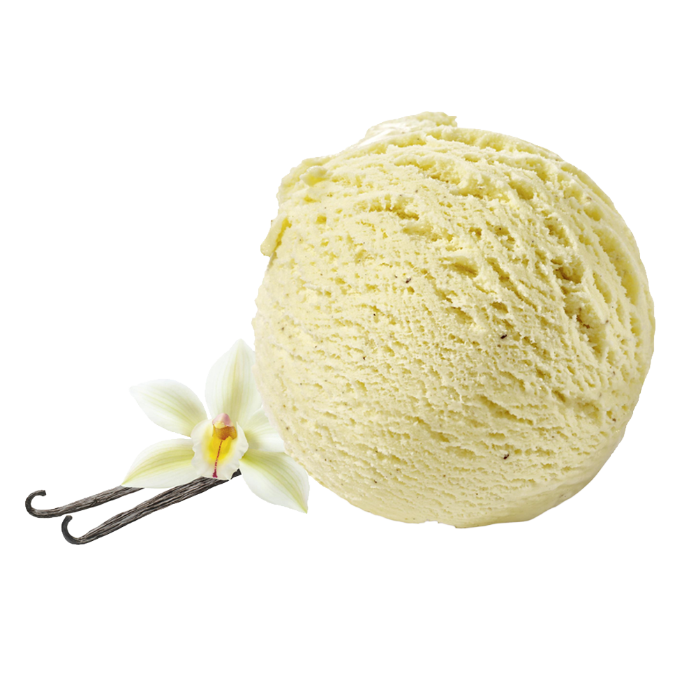 Carte D'Or Gelateria Vanille