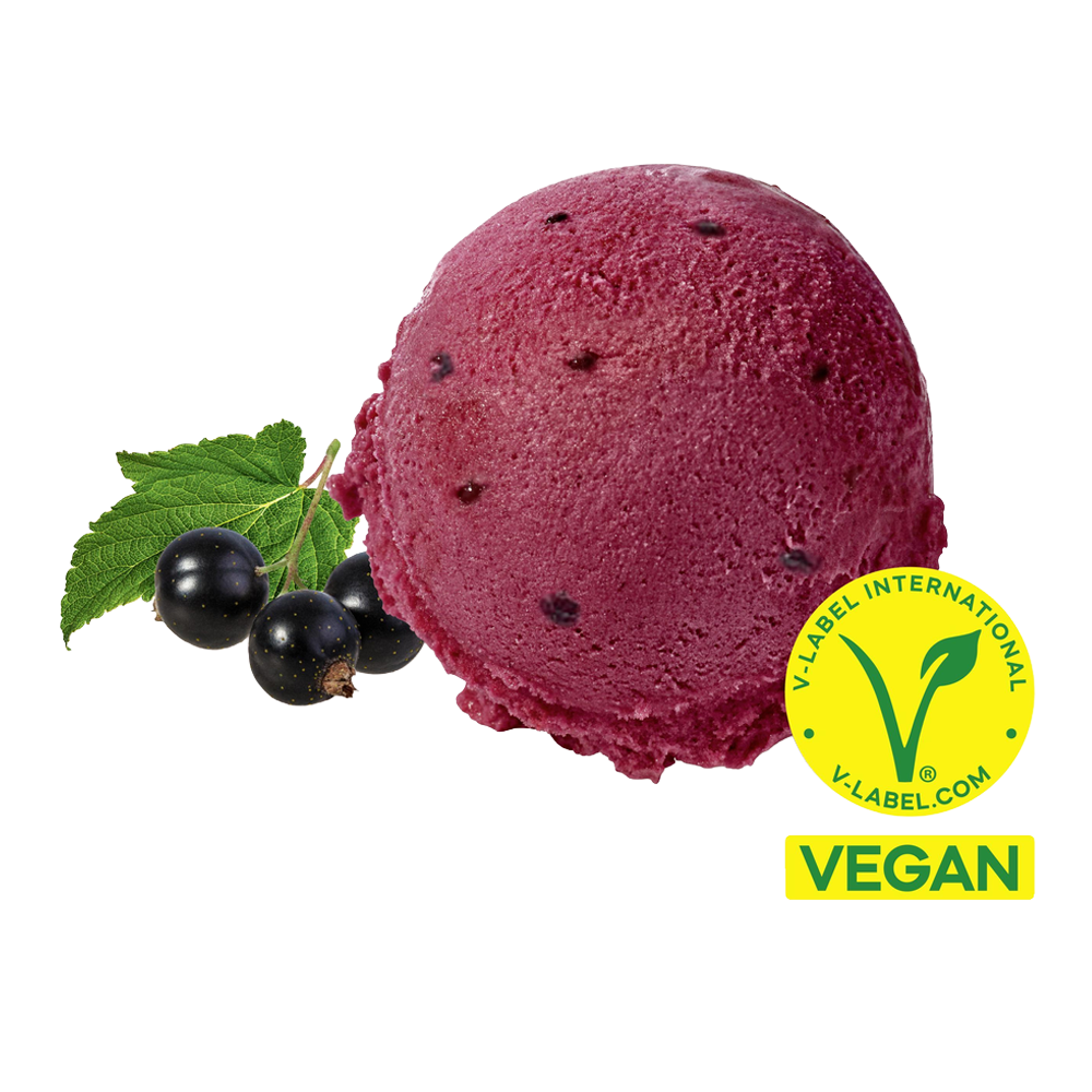 Carte D'Or Sorbet Cassis