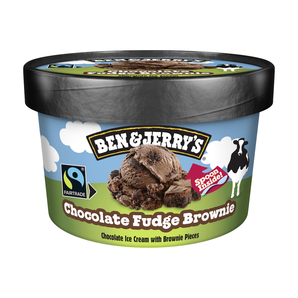Ben & Jerry's Shorty Chocolate Fudge Brownie